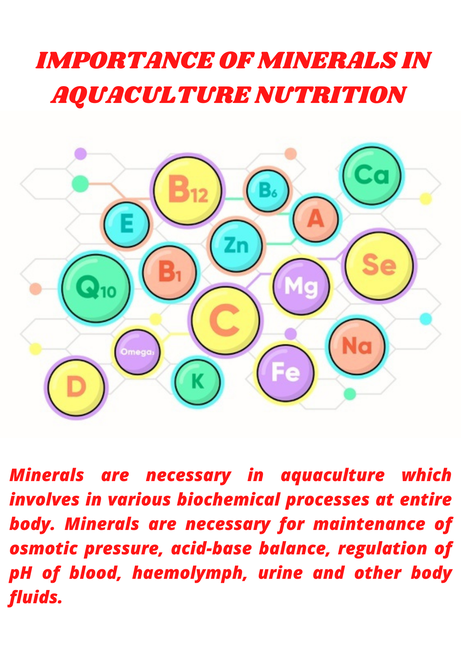IMPORTANCE OF MINERALS IN AQUACULTURE NUTRITION