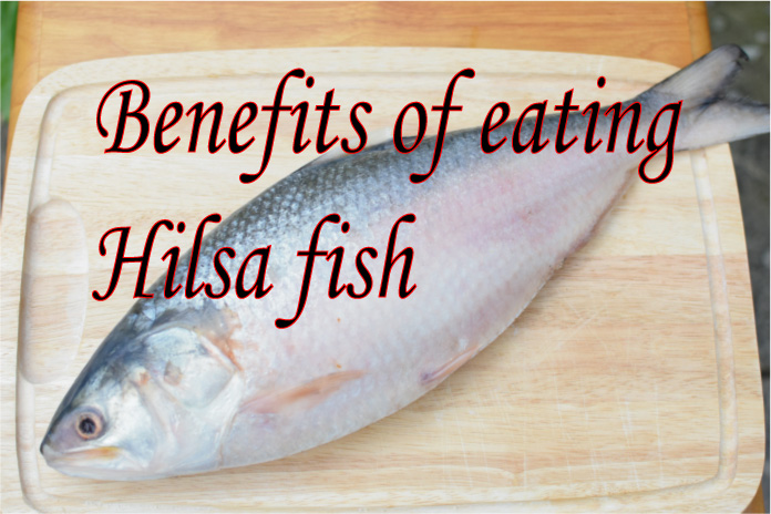 Benefits of Eating Hilsa fish (Tenualosa ilisha)