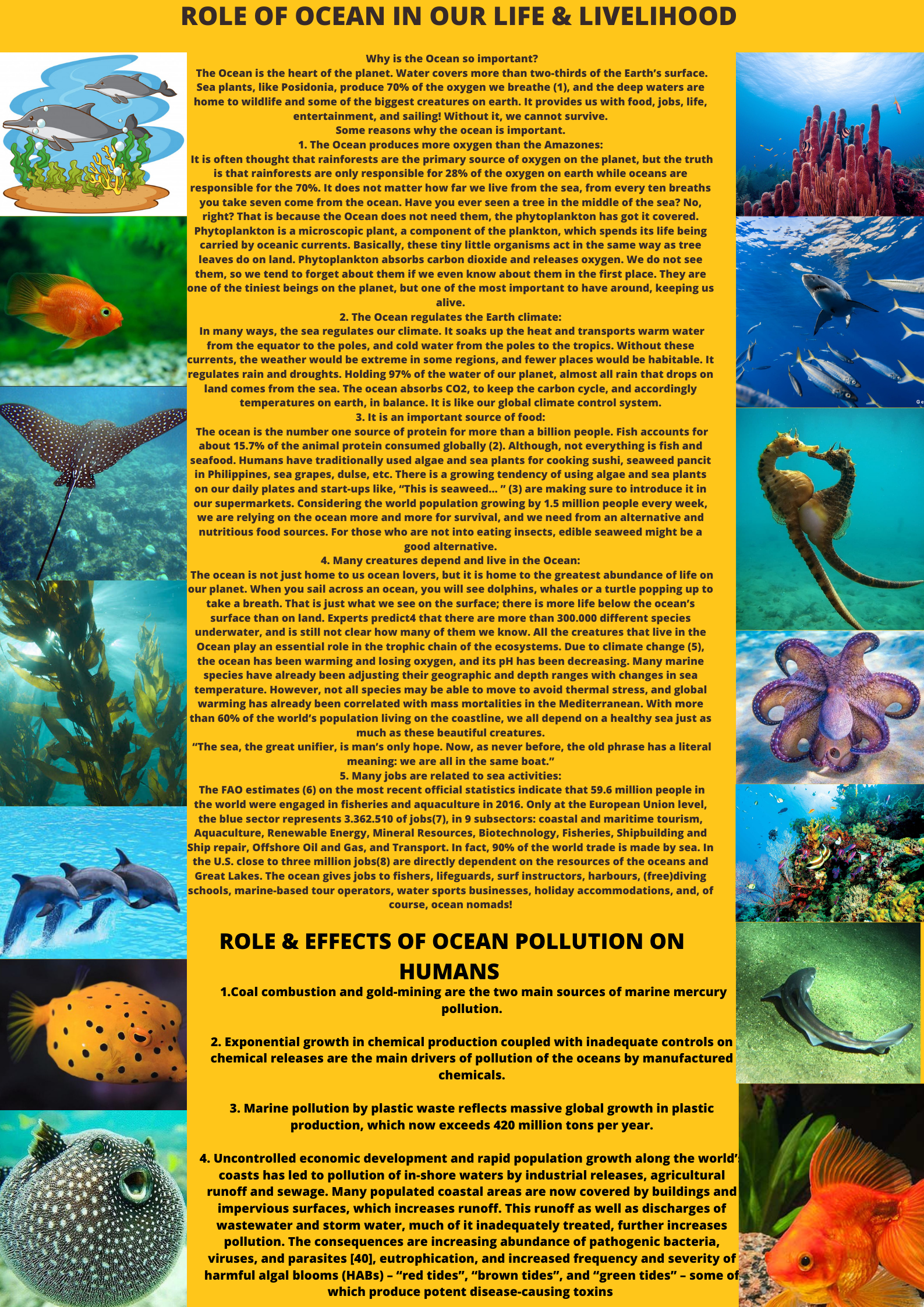 IMPORTANCE OF OCEAN & ITS POLLUTION BY HUMAN