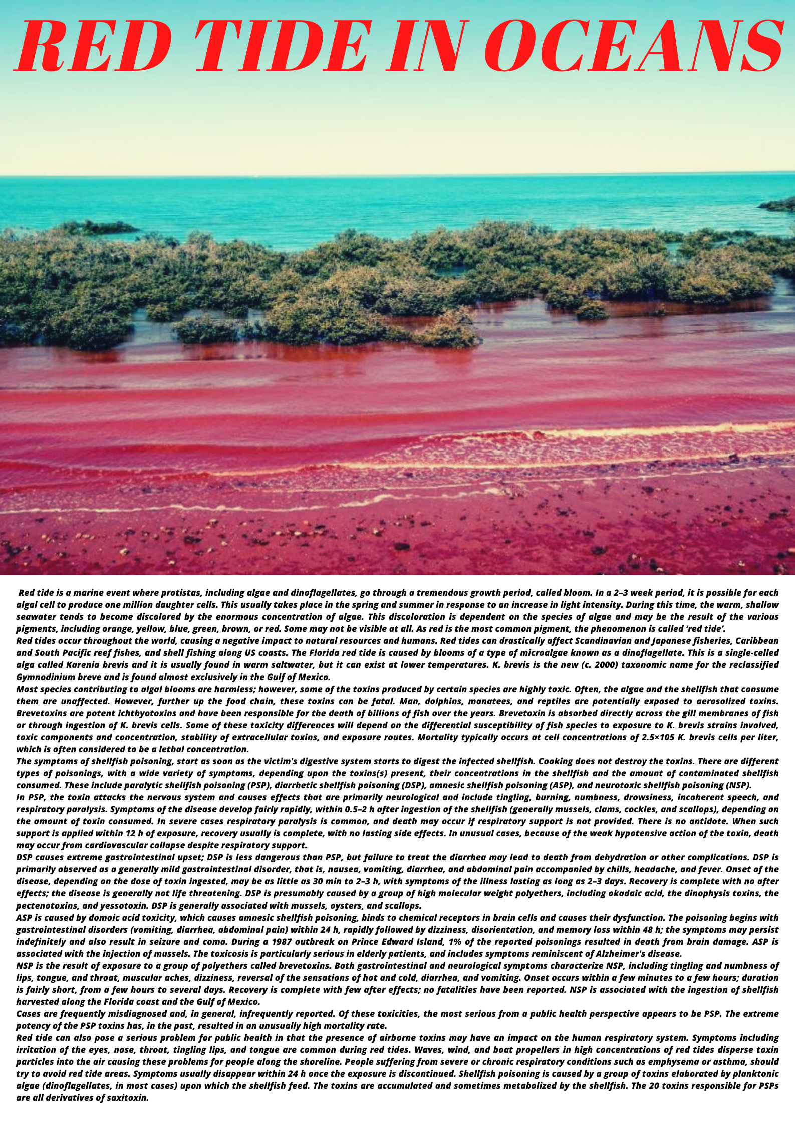 RED TIDE IN OCEANS